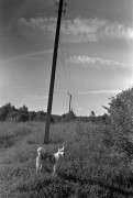 2-8085-Scan-170319-0011.jpg 2-8085-Scan-170319-0011.jpg
