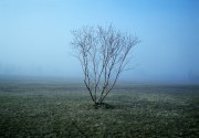 2016-04-28-0003_web.jpg 2016-04-28-0003_web.jpg