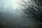 2016-04-28-0004_web.jpg 2016-04-28-0004_web.jpg