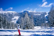 20180227-LIII_Elmar35_Precisia_N_2018-02-27_1_011.jpg