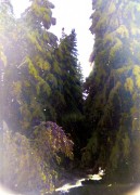 20915.jpg 20915.jpg