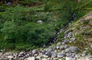21659.jpg 21659.jpg