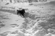 2404_Y35ME_Foma400_032_web.jpg 2404_Y35ME_Foma400_032_web.jpg
