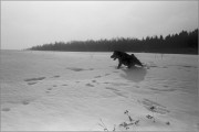2404_Y35ME_Foma400_23_web.jpg 2404_Y35ME_Foma400_23_web.jpg