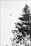 2504_S2N50_Foma400_0033_web.jpg