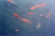 2510_S2N50_C200_004_web.jpg