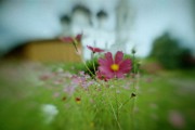 32566_1452.jpg