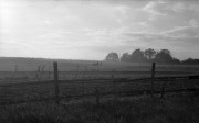 5006_edited-1.jpg