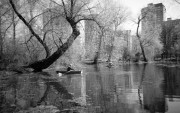 ContaxTvs_iii-20130502-001.jpg