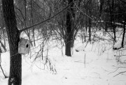 FED_2_ILFORD_PAN_100_at_200_RDN-LQ_1X25_13_min_januaru_2021_271.jpg