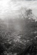 FLM201201004.jpg