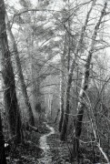 FLM201201006.jpg
