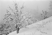 FLM201302031.jpg