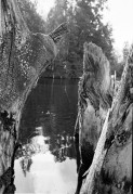 IIIF_HP5_6_WEB.jpg