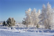 IMG01565.jpg