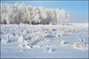 IMG01569.jpg