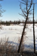 IMG03780.jpg