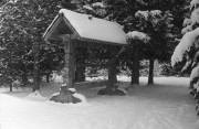 IMG06793w.jpg