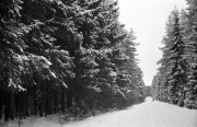 IMG3857-0m.jpg