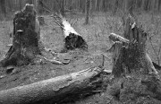 IMG4193-0m.jpg IMG4193-0m.jpg