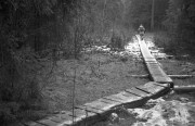 IMG4253-0m.jpg
