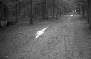 IMG4256-0m.jpg