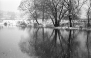 IMG4545-0m.jpg