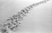 IMG4723-0m.jpg