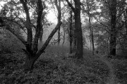 IMG_1187.JPG