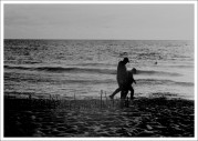 IMG_1558e3.JPG IMG_1558e3.JPG