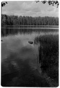 IMG_2290_.jpg