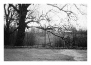 IMG_5139e2.JPG IMG_5139e2.JPG