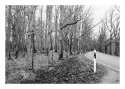 IMG_5141e2.JPG IMG_5141e2.JPG