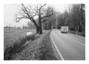 IMG_5142e2.JPG IMG_5142e2.JPG