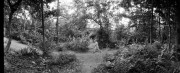 Image02_res.jpg