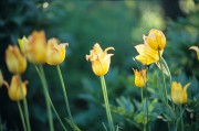 Image144.jpg Image144.jpg
