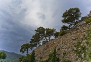 L1000029.jpg
