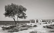 L1002487.jpg