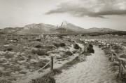 L10088551.jpg