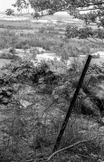 M3C50IVHP5hcBaug145.jpg