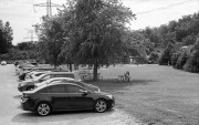 M3C50IVHP5hcBaug169.jpg