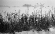 M3_RigidYF_RPX400_Dec2016832.jpg