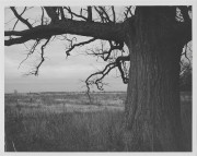 M4-2_Ultron35LTM_HP5_1600_HC110B11min_Agfa8x10RC_Nov2015496.JPG