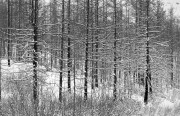 PC-388_crop0014.jpg PC-388_crop0014.jpg