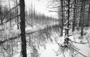 PC-388_crop0027.jpg PC-388_crop0027.jpg