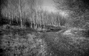 Scan-160426-0075.jpg