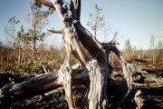 Scan-160706-0004.jpg
