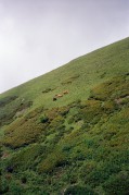 Scan-180902-0004.jpg