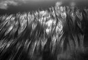 Untitled_10_.jpg