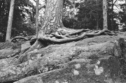 Untitled_1176_.jpg